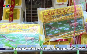 Cò bay, ngựa chạy trong Tết ở phương Nam