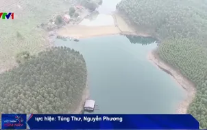 Giáp Tết, cao điểm đánh bắt tận diệt 