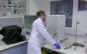 Biến phân ngựa thành vật liệu thay thế nhựa