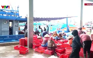 Nhộn nhịp chuyến biển cuối năm