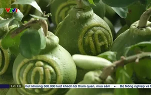 Trái cây tạo hình hút khách dịp Tết