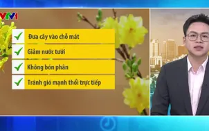 Bản tin thời tiết 5h30 - 14/02/2026