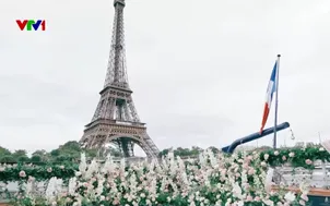 Lời cầu hôn tại thành phố tình yêu