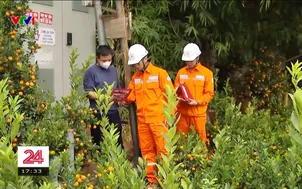 Ngăn chặn tình trạng vi phạm hành lang an toàn lưới điện trong dịp Tết