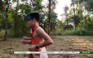 Nhịp đập thể thao | 15/2/2026