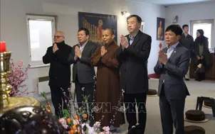 Xuân Bính Ngọ 2026: Ấm tình quê hương giữa trời Âu giá lạnh
