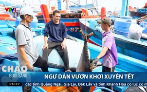 Ngư dân Gia Lai vươn khơi xuyên Tết