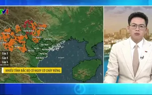 Bản tin thời tiết 5h30 - 19/02/2026