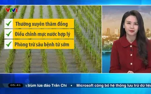 Bản tin thời tiết 5h30 - 20/02/2026