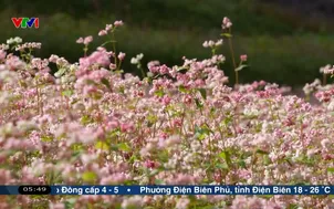 Tự hào làng quê Việt 