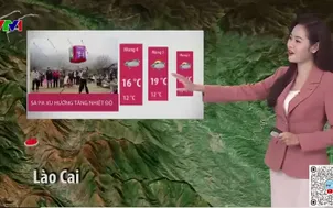 Bản tin thời tiết 12h30 - 20/02/2026