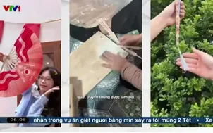 Làn gió mới từ quạt Chàng Sơn
