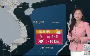 Bản tin thời tiết 19h45 - 21/02/2026