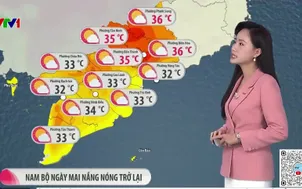 Bản tin thời tiết 19h45 - 24/02/2026