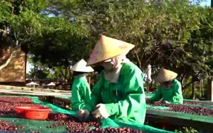 Tăng tốc xuất khẩu từ thay đổi trong vận chuyển