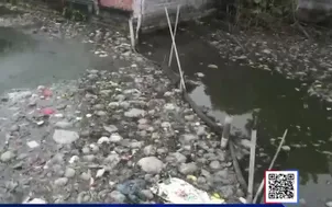 Chợ gia cầm xả thải gây ô nhiễm khu dân cư