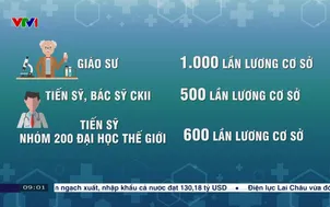 TP. Hà nội hỗ trợ giáo sư lên tới 5,3 tỷ đồng