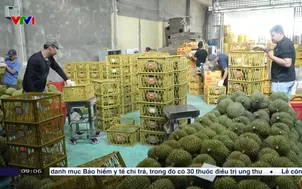 Chuyển đổi số trong nông nghiệp để tăng giá trị