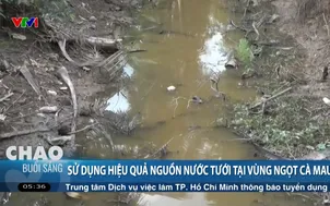 Sử dụng hiệu quả nguồn nước tưới tại vùng ngọt Cà Mau