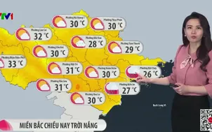 Bản tin thời tiết 12h - 01/3/2026