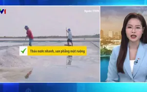 Bản tin thời tiết 5h30 - 01/3/2026