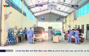 Hệ thống cấp giấy đăng kiểm đã cơ bản ổn định