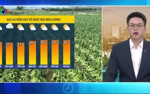 Bản tin thời tiết 5h30 - 04/3/2026