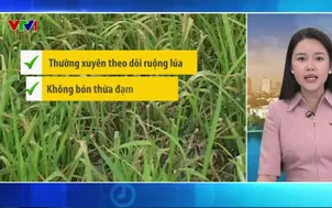 Bản tin thời tiết 5h30 - 06/3/2026