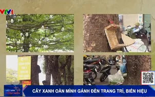 Cây xanh oằn mình gánh đèn trang trí, biển hiệu 