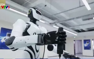 Bàn tay robot siêu linh hoạt 