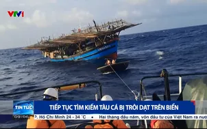 Tiếp tục tìm kiếm tàu cá bị trôi dạt trên biển