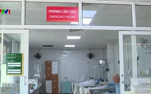 Nhiều người nhập viện do ngộ độc cá biển