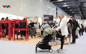 Cuộc đua của "siêu xe đẩy"