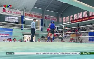 Nhịp đập thể thao | 11/3/2026