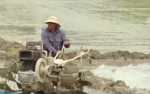 Giải pháp thích ứng khô hạn đảm bảo sinh kế