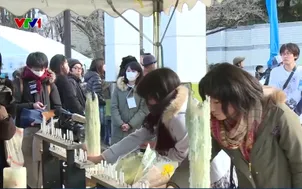 15 năm phục hồi từ thảm họa sóng thần