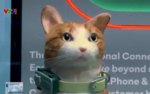 Điện thoại dành cho thú cưng