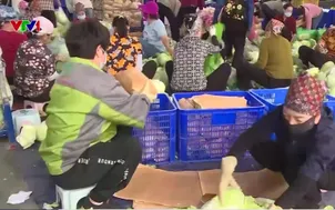 Đa dạng hóa thị trường nông sản xuất khẩu