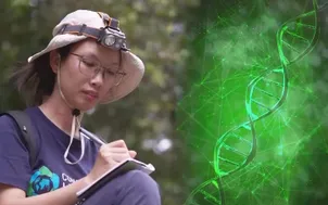 Người gọi tên loài mới