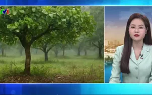 Bản tin thời tiết 5h30 - 16/3/2026