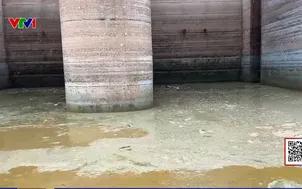 Lồng bè cá xả thải gây ô nhiễm hồ thủy điện