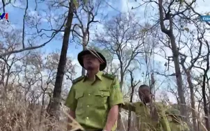 Bảo vệ rừng trong cao điểm mùa khô 
