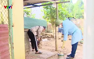 Chủ động phòng chống bệnh dại