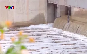 Sông Tô Lịch lại xuất hiện mùi hôi