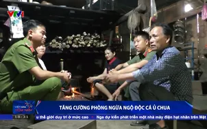 Tăng cường phòng ngừa ngộ độc cá ủ chua