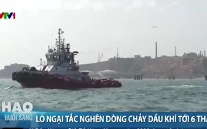 Lo ngại tắc nghẽn dòng chảy dầu khí tới 6 tháng