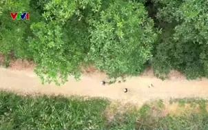 Xu hướng vận động mới của người thành phố