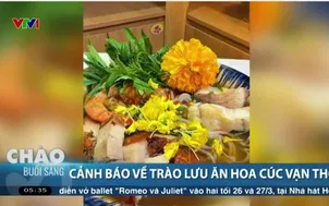 Cảnh báo về trào lưu ăn hoa cúc vạn thọ 