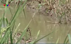 Đảm bảo nguồn nước cho sản xuất nông nghiệp