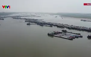 Nhiều tàu hàng mắc cạn trên sông Hồng